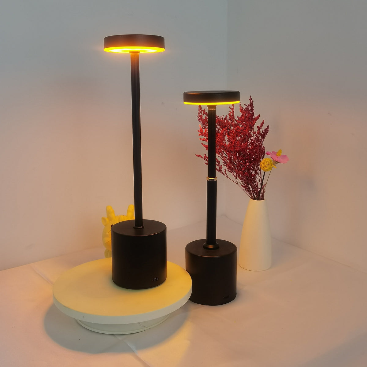 Sleek Touch Mini LED Lamp (Rechargeable)